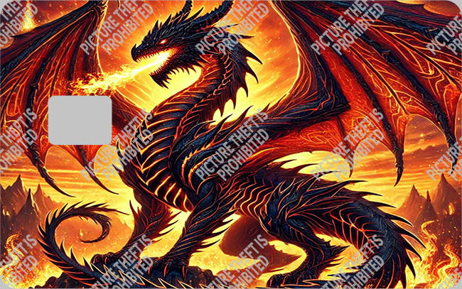 Bank  Card Sticker-BC-1561
